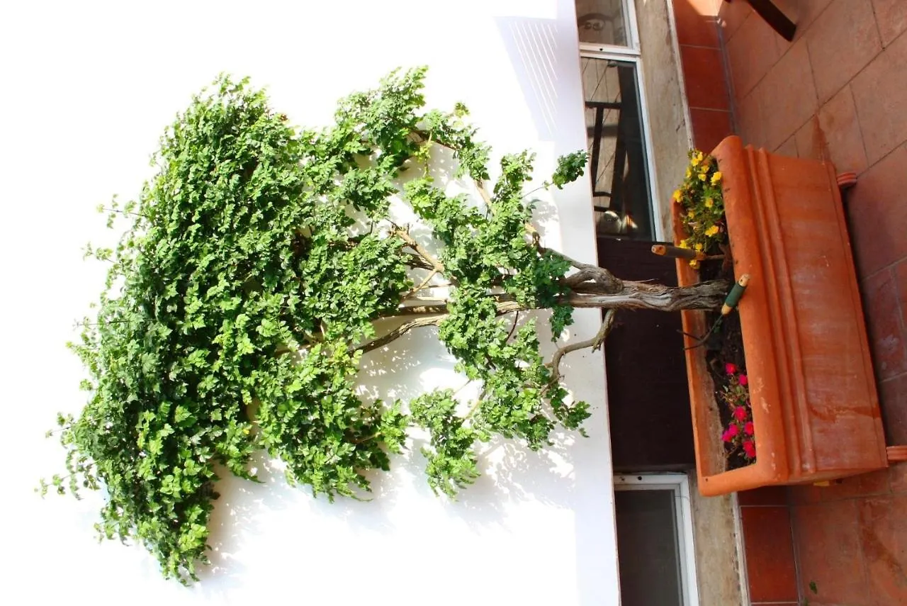 B&B Verdegiada Brindisi Italia