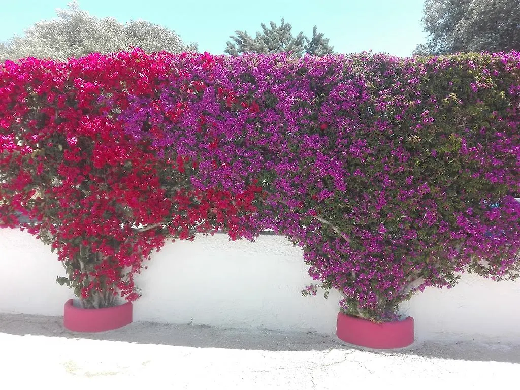 B&B Verdegiada Brindisi